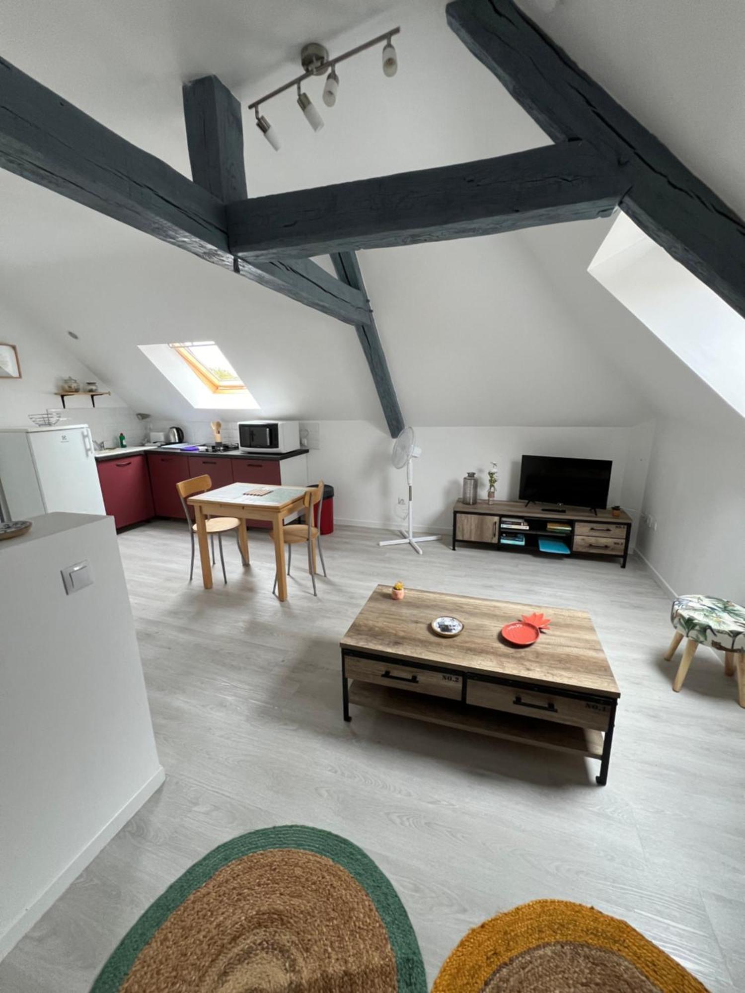 Appartement Avec Cours Saint-Brisson-sur-Loire Buitenkant foto